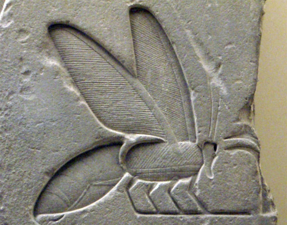 Le api e l’arte antica