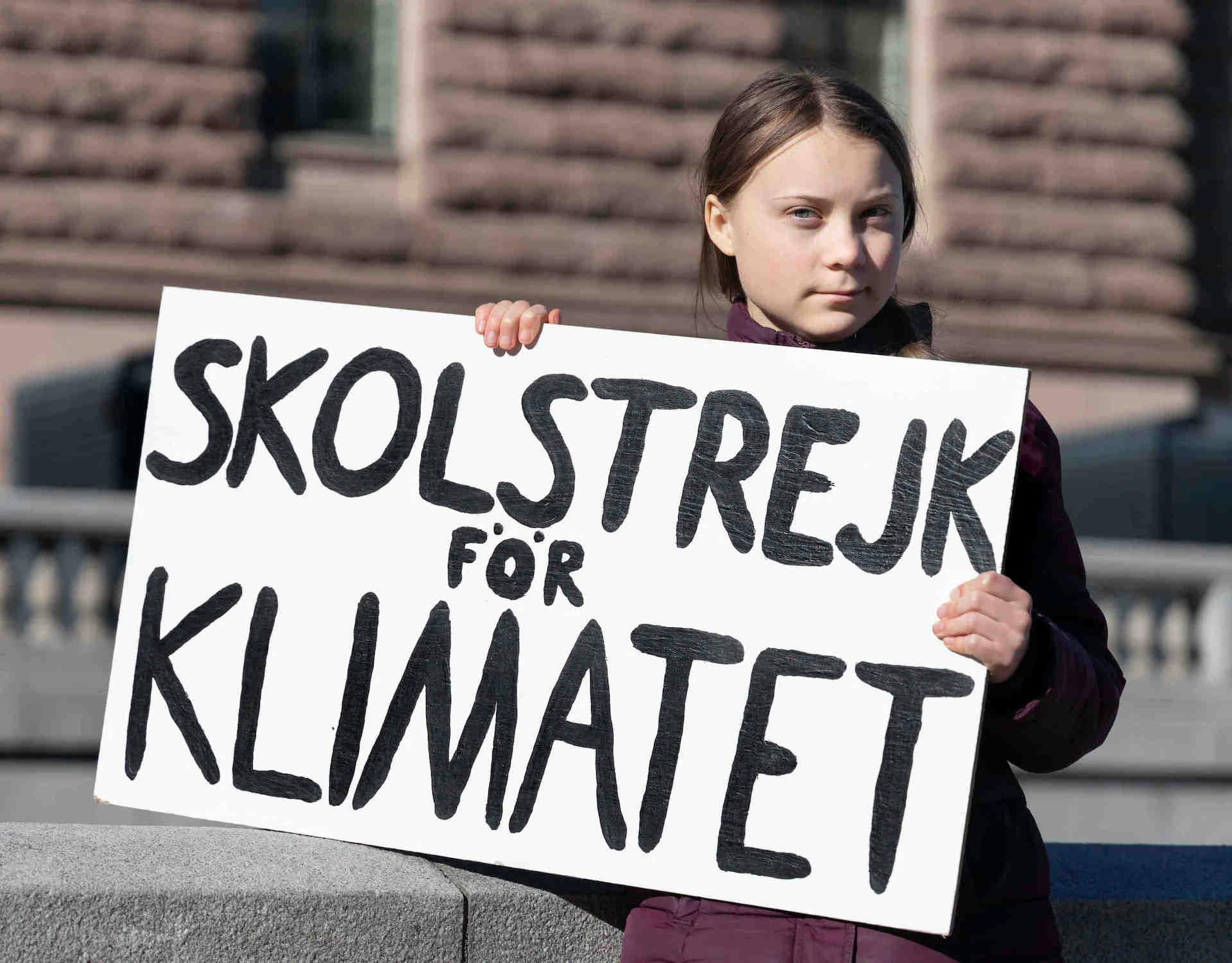 Die Verhaftung von Greta Thunberg: Kohle und Bestäuber