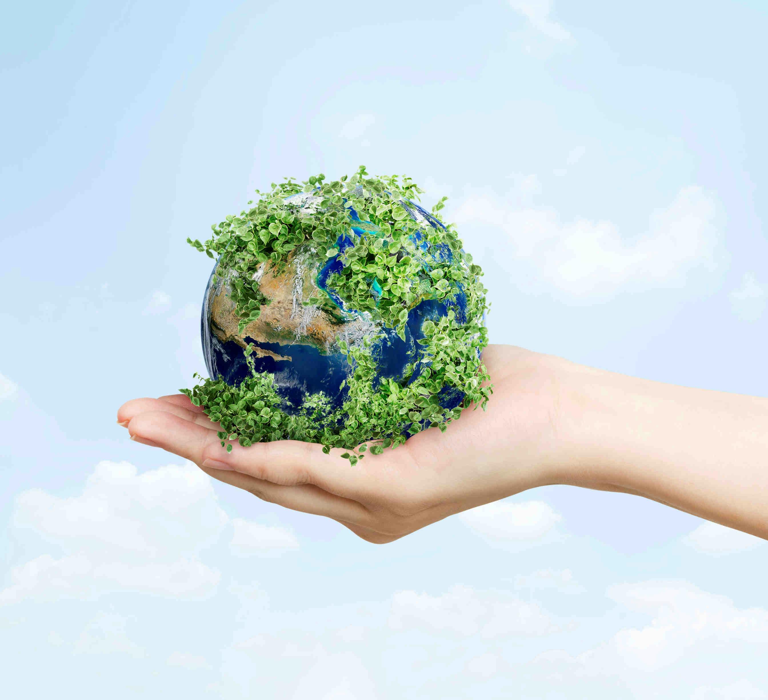 L'importanza della Giornata Mondiale dell'Ambiente