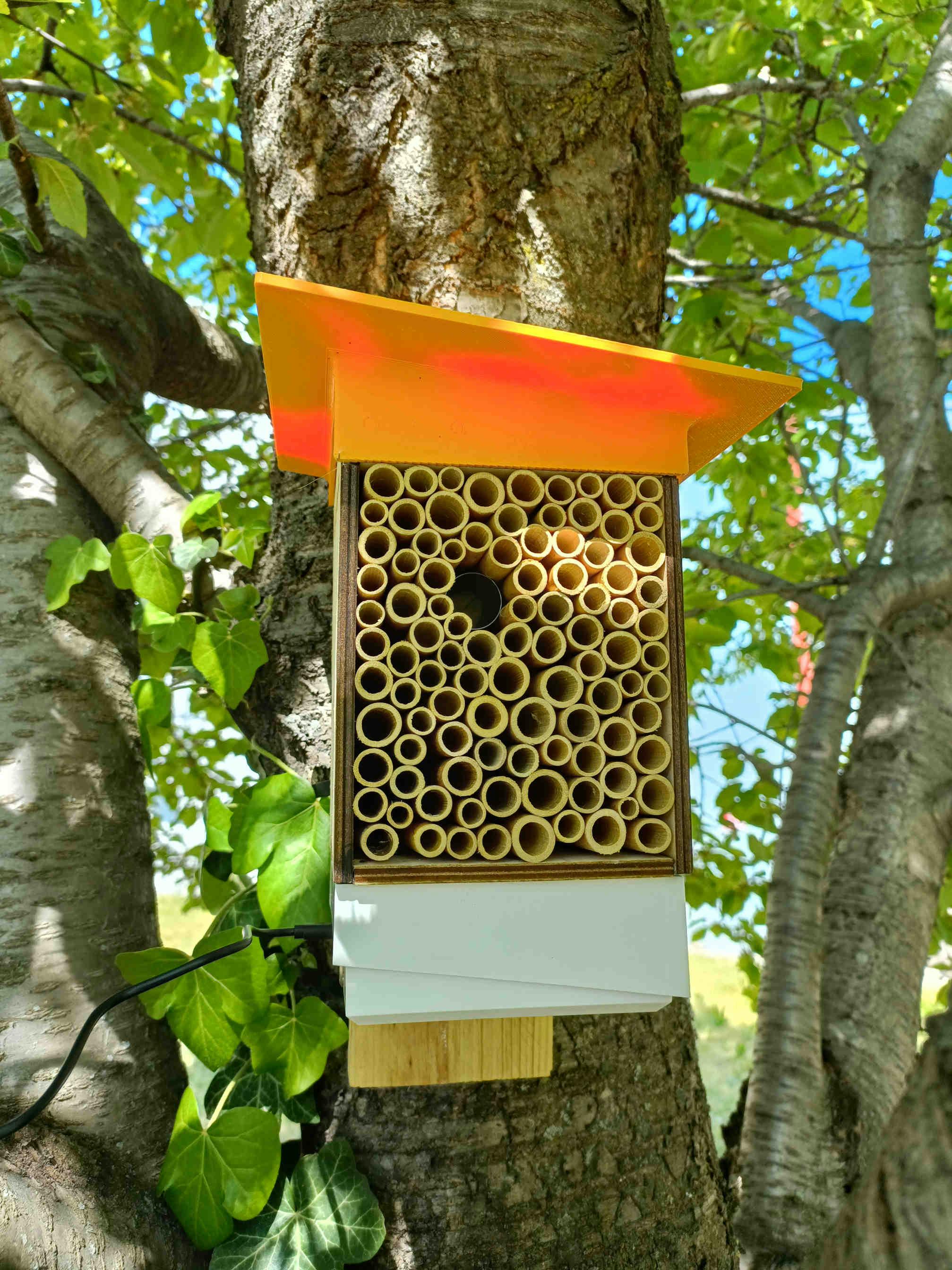 Polly X: the shelter for solitary bees