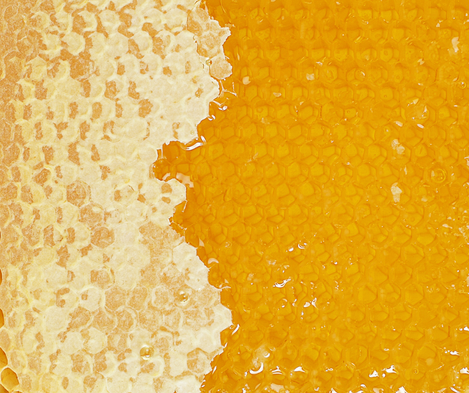 Produzione di miele