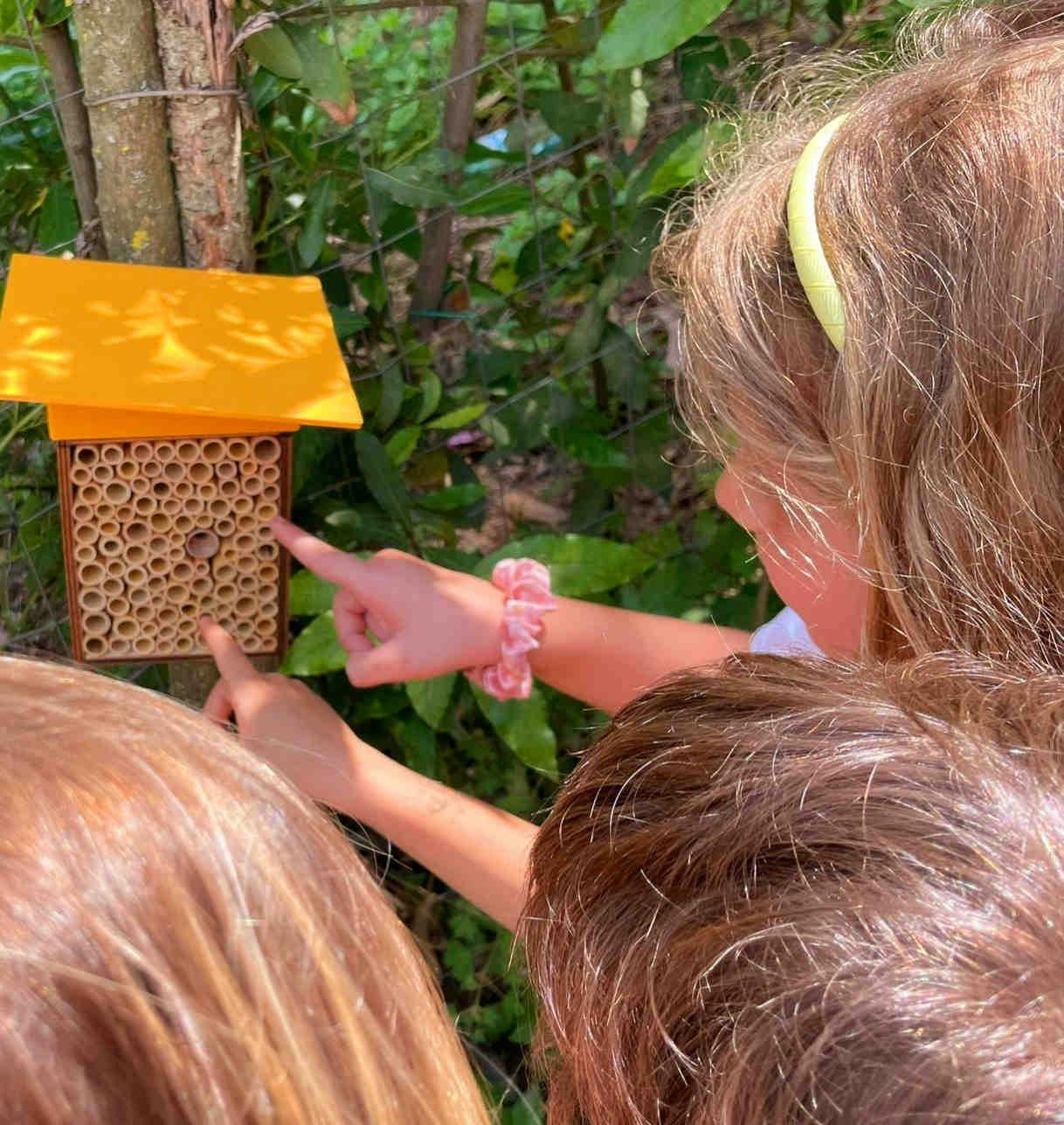 Biodiversity: 3Bee and initiatives for young people