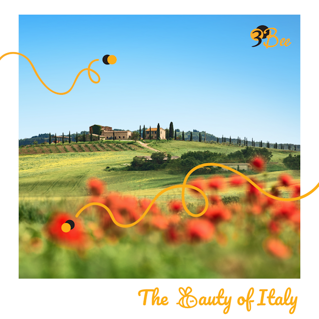 Discover the Italian beehives
