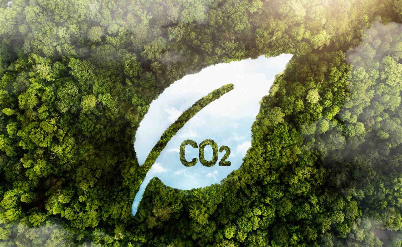 Goals for a zero-emission world