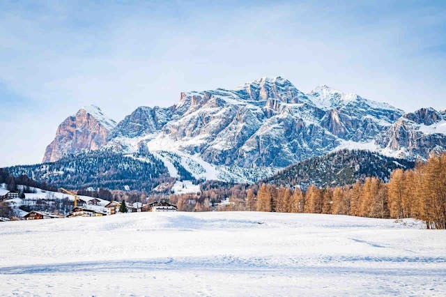 Pista da bob a Cortina: l'impatto sulla biodiversità