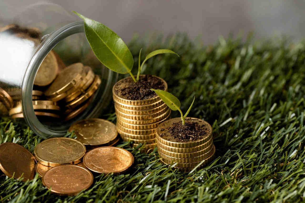 Growing interest in sustainable investments