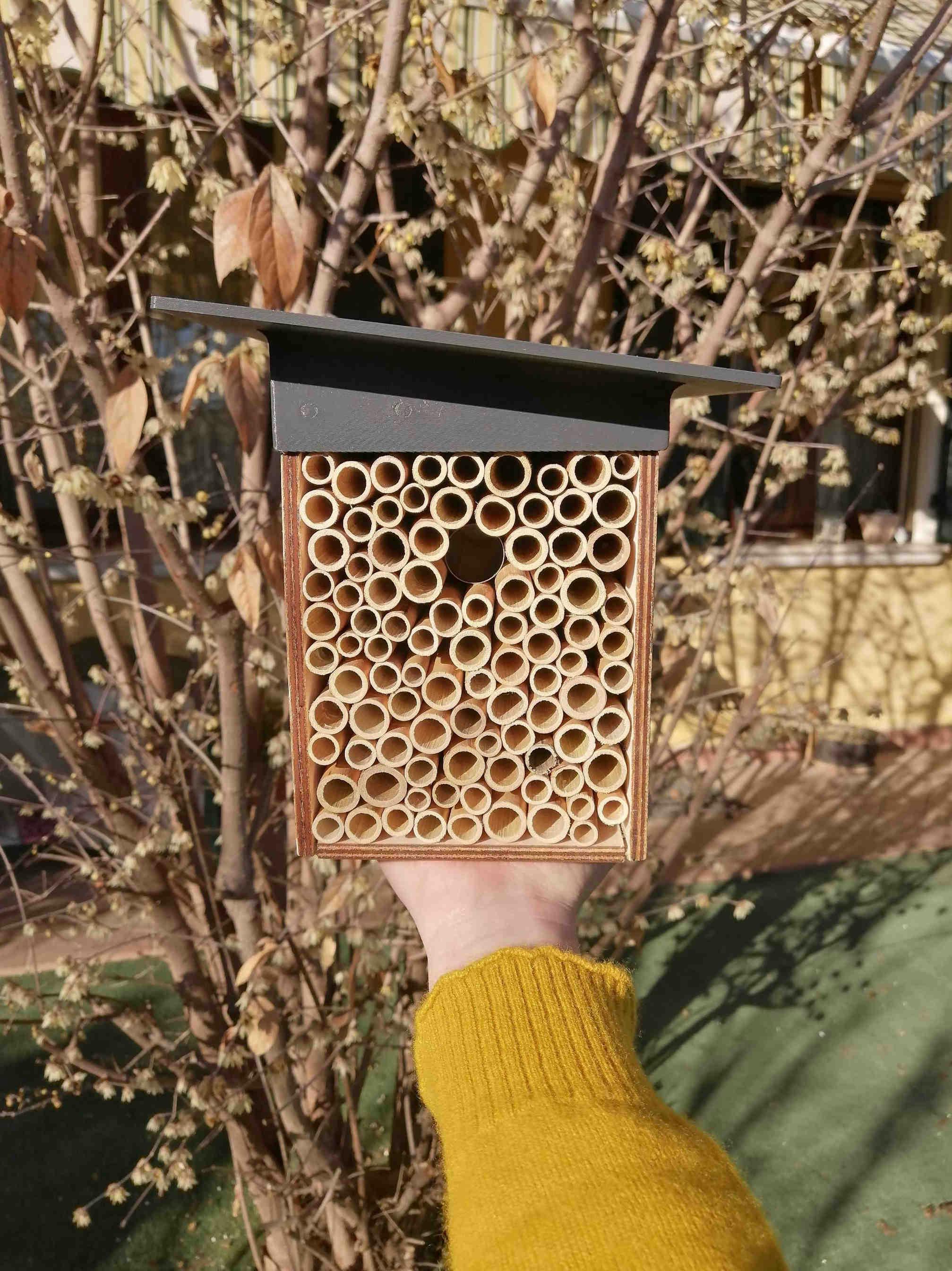 Un progetto per le api solitarie